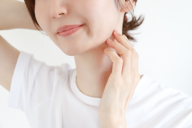 フェイスライン 女性の顔